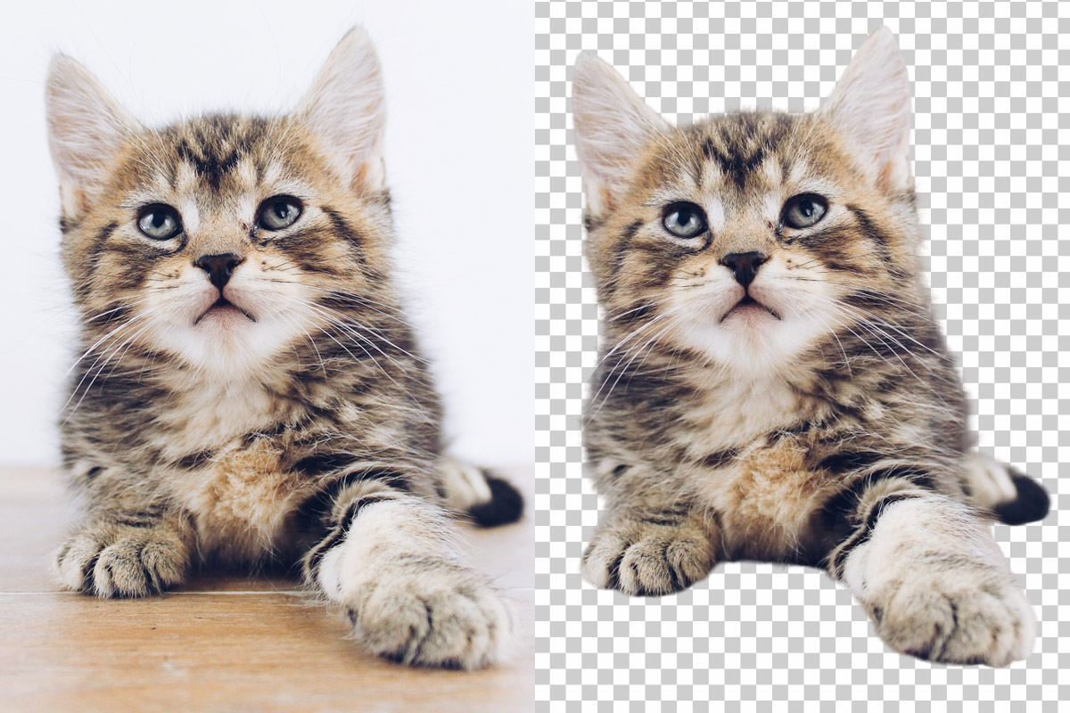 Background Removal