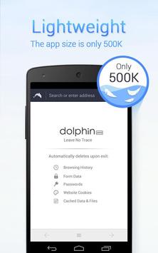 Dolphin Zero Incognito Browser - Private Browser