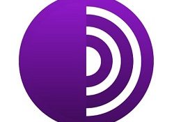 Tor Browser Latest Version Download
