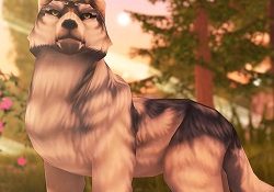 Wolf Tales - Online Wild Animal Sim